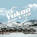 Yukon Chromoly Axle Shaft for Dana M220 Differential, Rear, Measures 31.6” 
