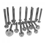 Yukon Bearing Race Driver Set, 21 Pieces