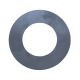 Standard Open side gear and thrust washer for GM 12 bolt car and truck.