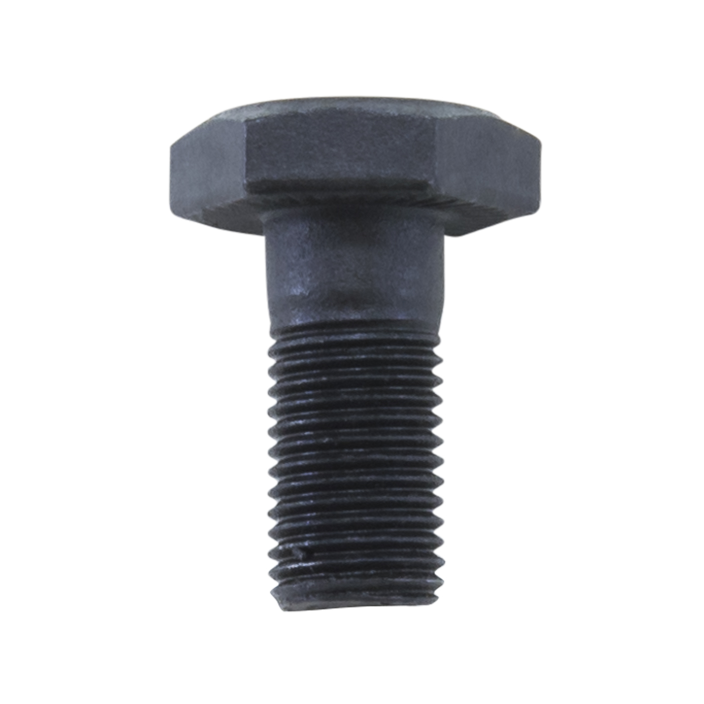 Bolt gear hotsell