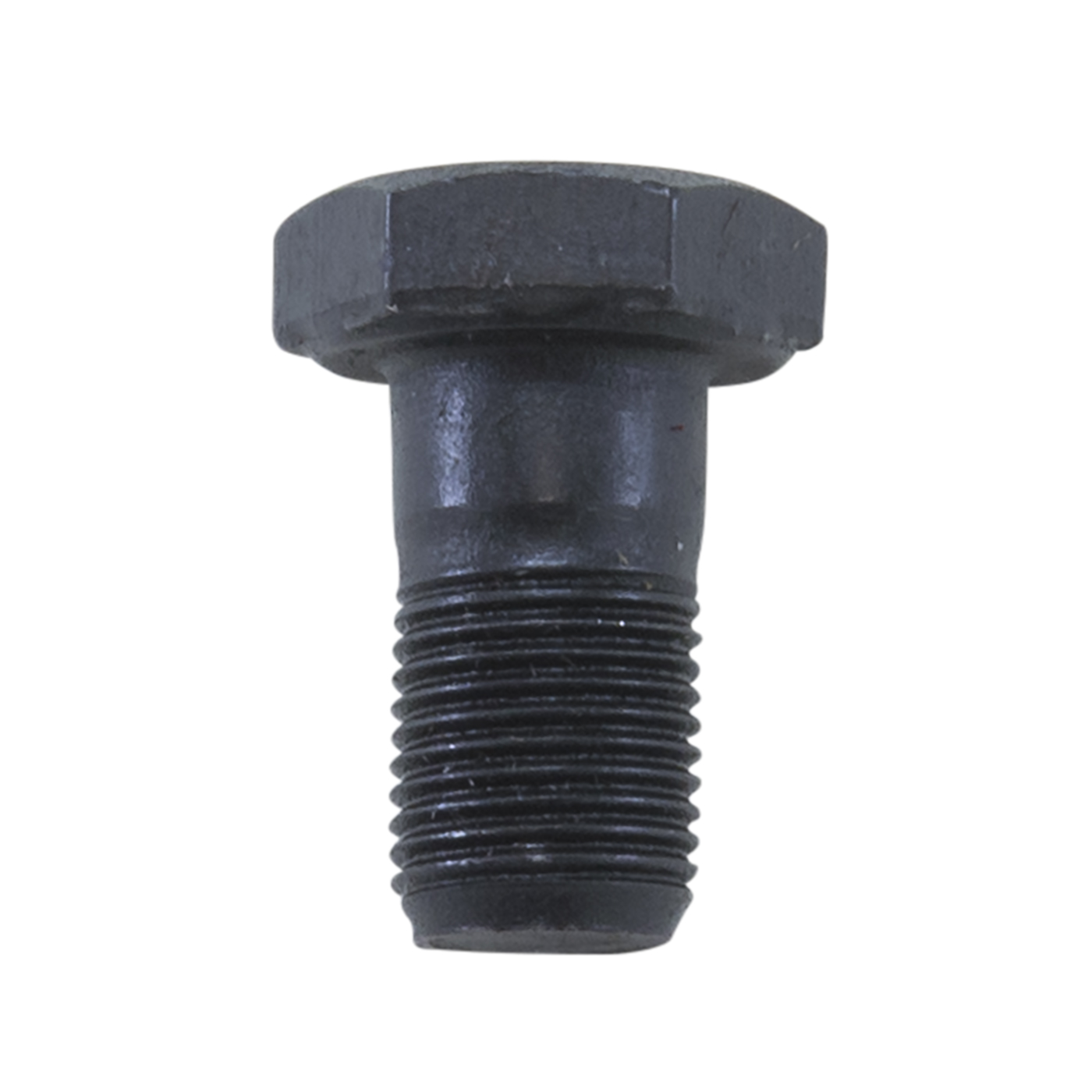 Ring Gear bolt
